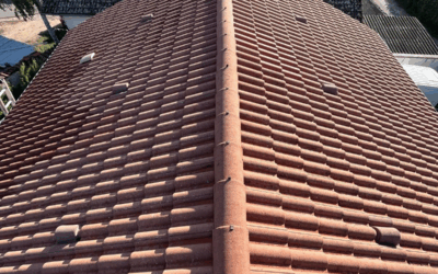 Démoussage toiture à Panissières