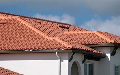 Démoussage toiture à Bas-en-Basset