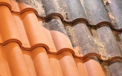 Démoussage toiture à La Séauve-sur-Semène